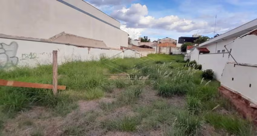 Terreno Padrão em Jaú