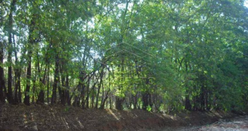 Terreno Padrão em Bauru