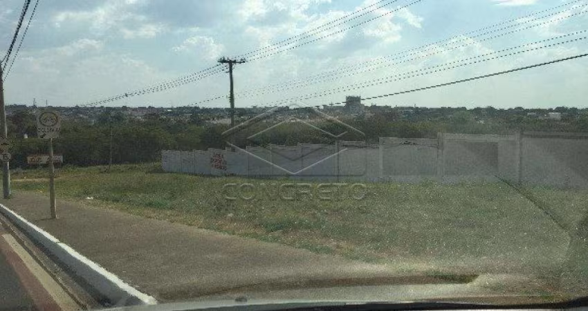 Terreno Padrão em Bauru