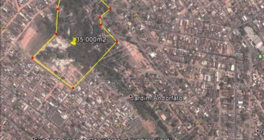 Terreno Padrão em Bauru
