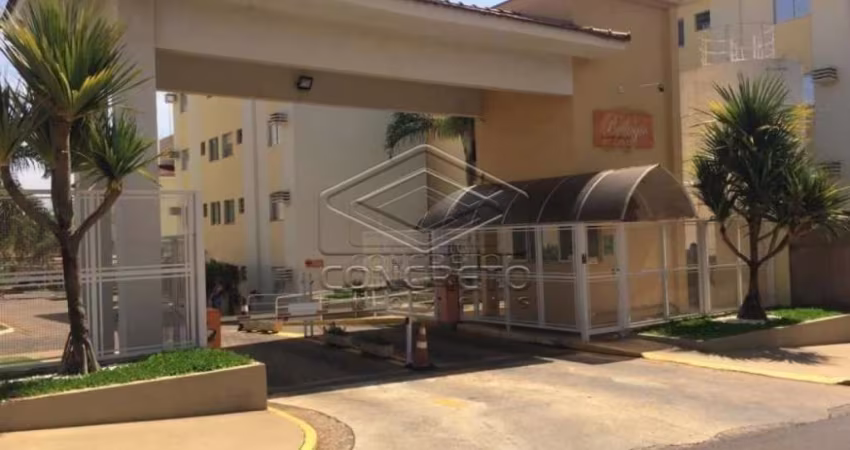 Apartamento com 3 quartos à venda no Jardim Terra Branca, Bauru 