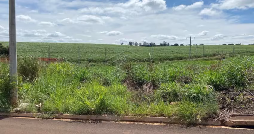Casa à venda no Residencial Campo Belo, Jaú 