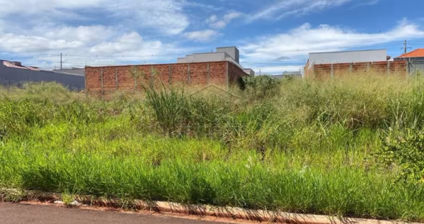 Terreno Padrão em jau