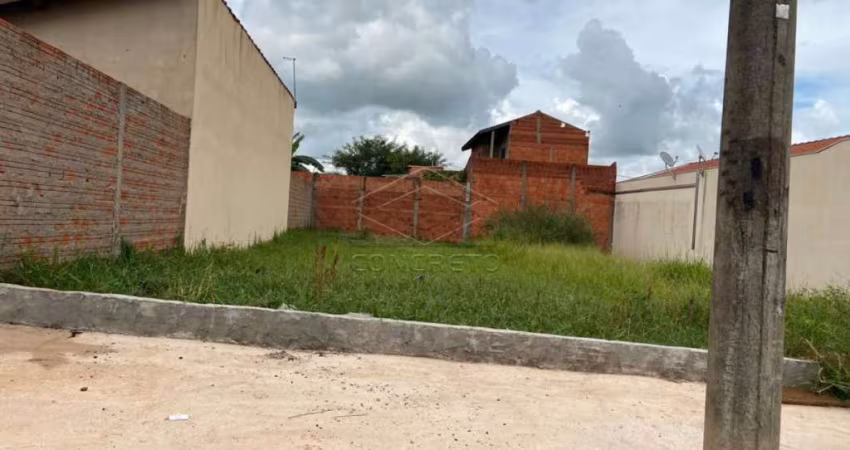 Terreno Padrão em Jaú