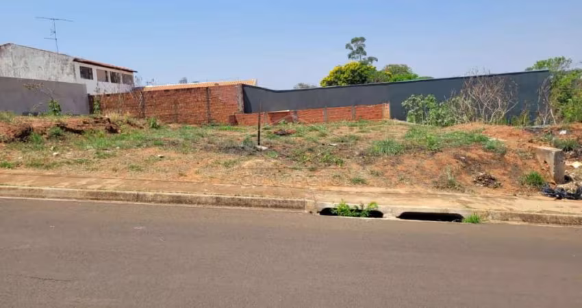Lote  Jardim  América