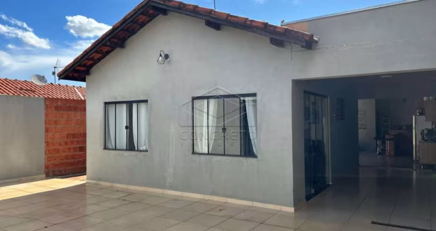 Casa Padrão em Jaú