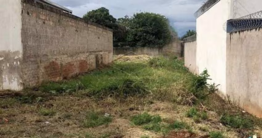 Terreno -PRÓXIMO À AV. CRUZEIRO DO SUL