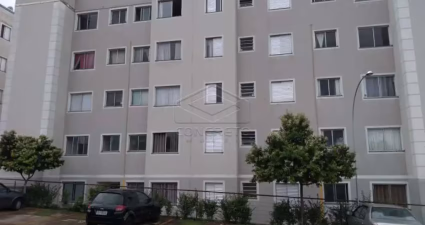 Apartamento com 02 dormitórios - Spazio Belluno