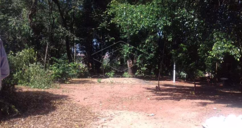 Terreno Padrão em Bauru