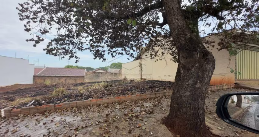 Terreno Padrão em Jaú