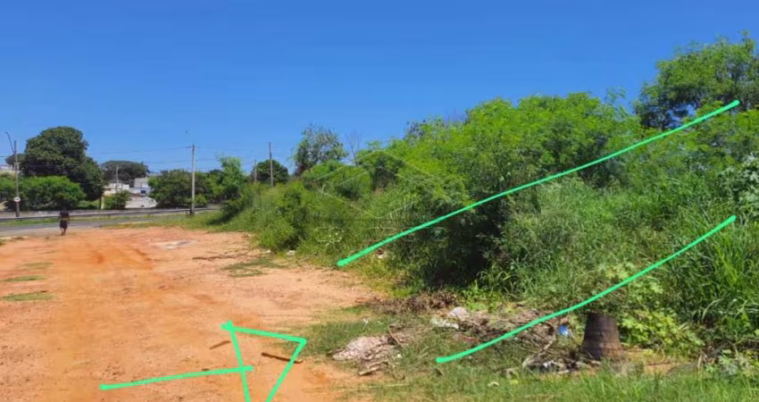 LOTE COM FÁCIL ACESSO A RODOVIA