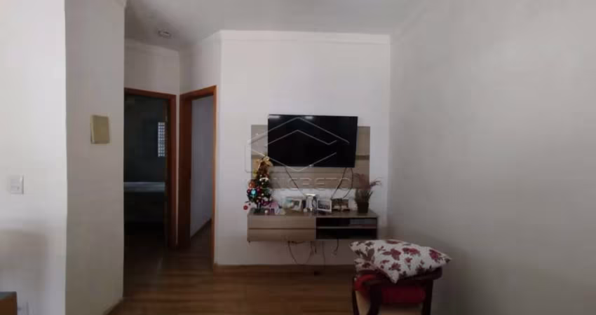 Casa Residência em Jaú