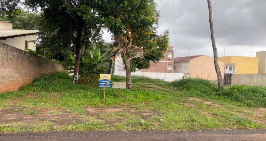 Terreno Padrão em Bauru