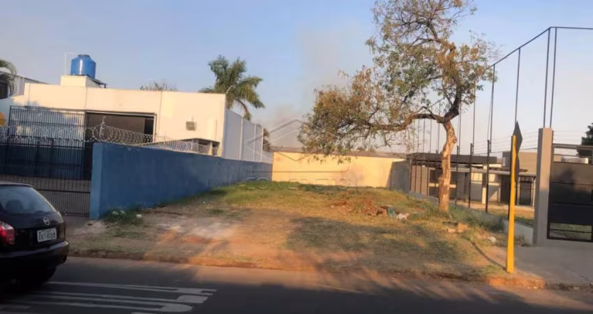 EXCELENTE LOTE NA FELICÍSSIMO