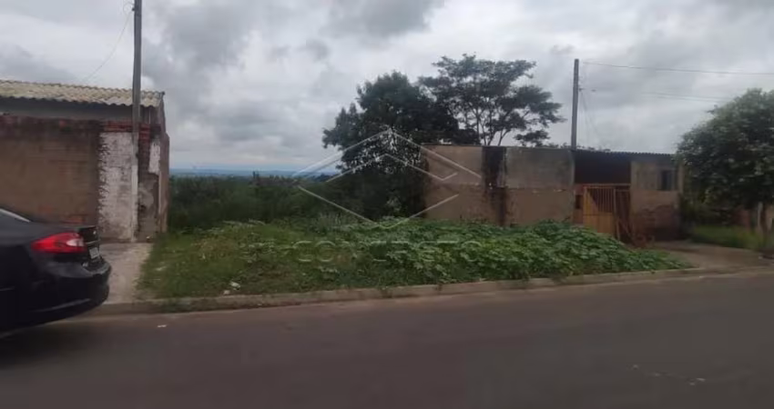 Lote na Vila Industrial