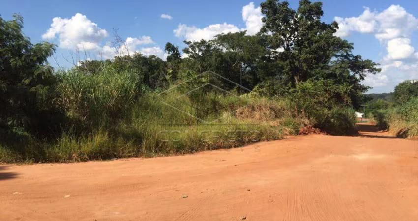 Terreno Padrão em Bauru
