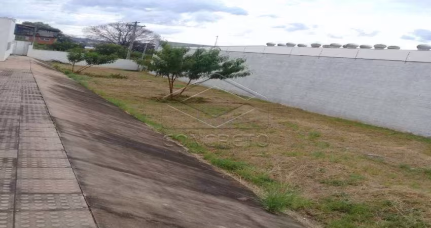 Terreno Padrão em Bauru