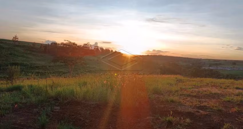 Terreno Padrão em Jaú