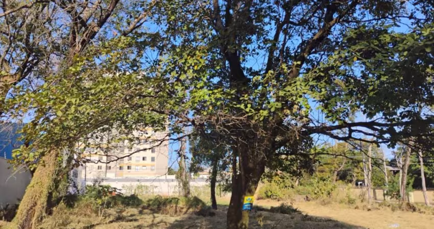 TERRENO JD COLONIAL ABERTO