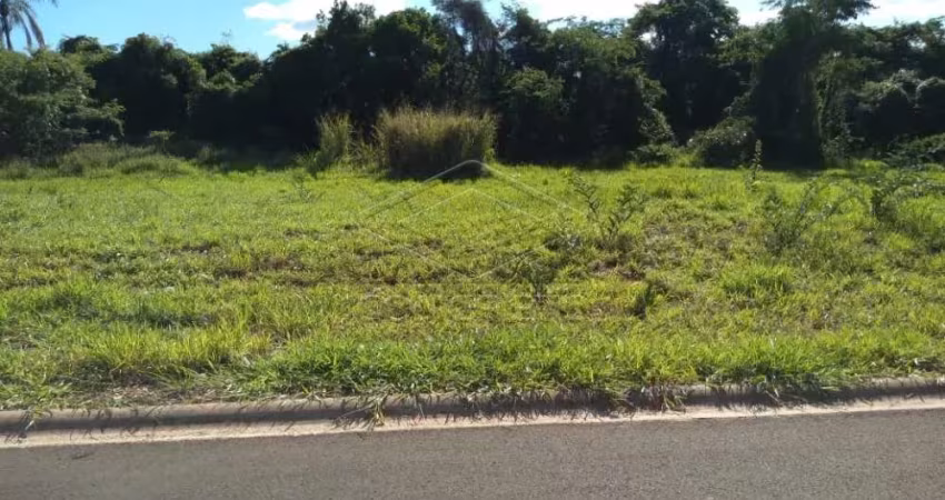 TERRENO NO ASFALTO - VALE DO IGAPÓ