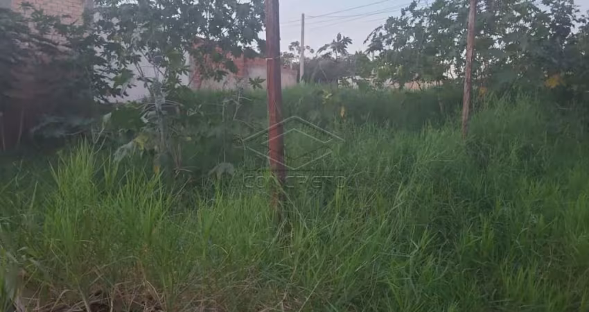 Terreno para investidores - Jardim Marília