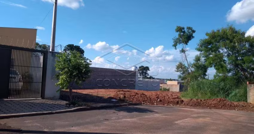 Terreno Padrão em Bauru