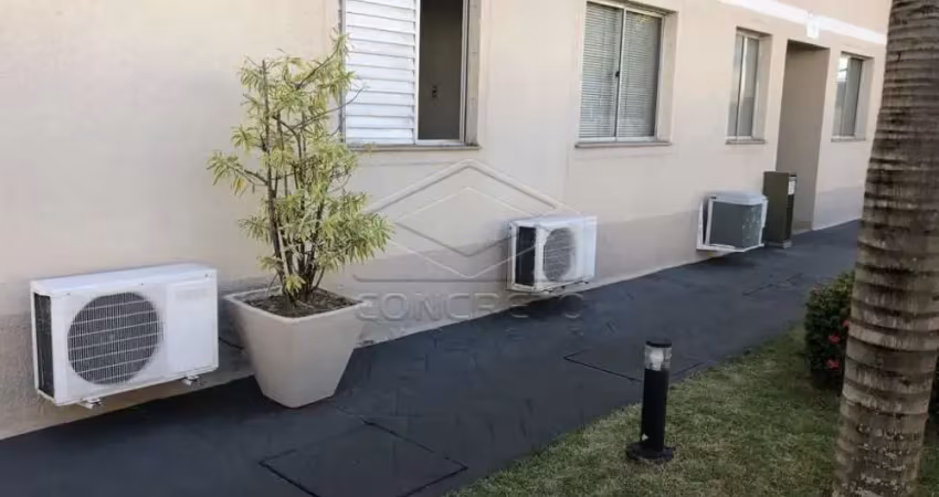 Apartamento no térreo, reformado - Bonutti