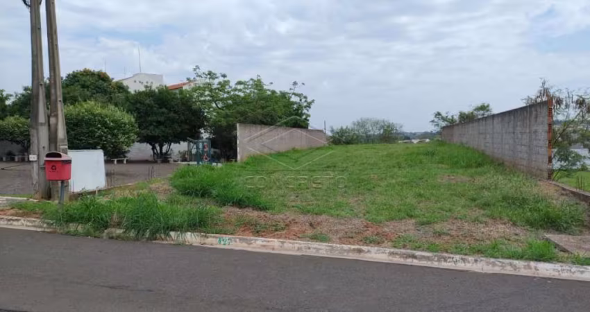 QUINTA RANIERI  GREEN