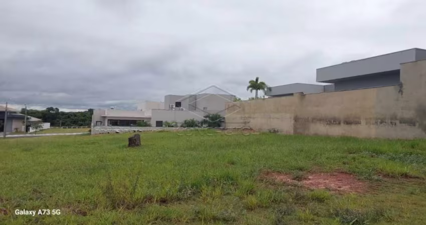 Oportunidade Única - Villa Dumont