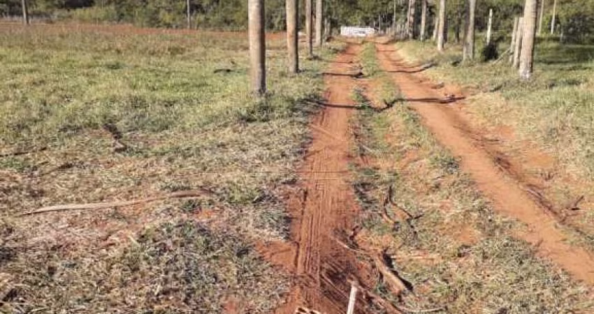 ÁREA PRÓXIMO AO RECANTO DOS NOBRES