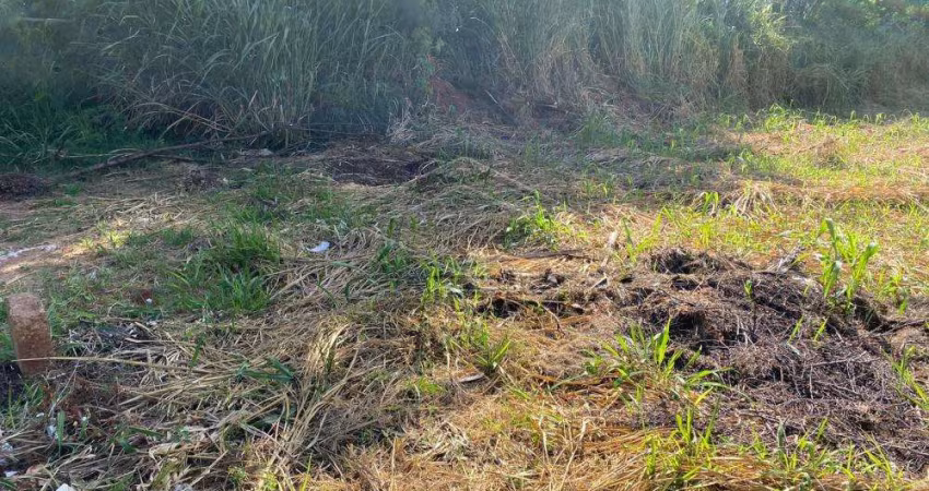 Terreno Padrão em Bauru