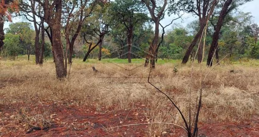 Terreno Área em Bauru