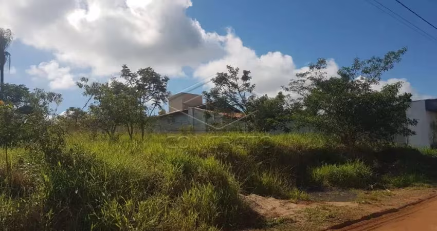 Lote Águas Virtuosas