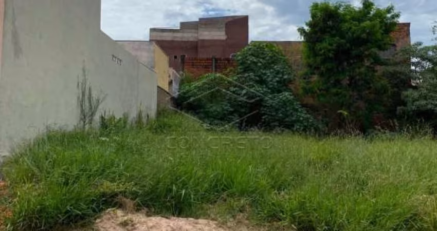 Terreno plano no Tangarás 5,5X25