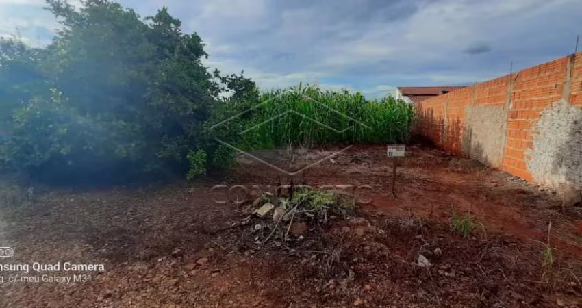 Terreno Área em Jaú