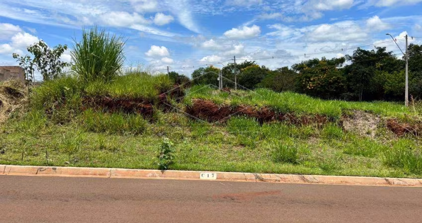 Terreno Padrão em Lençóis Paulista