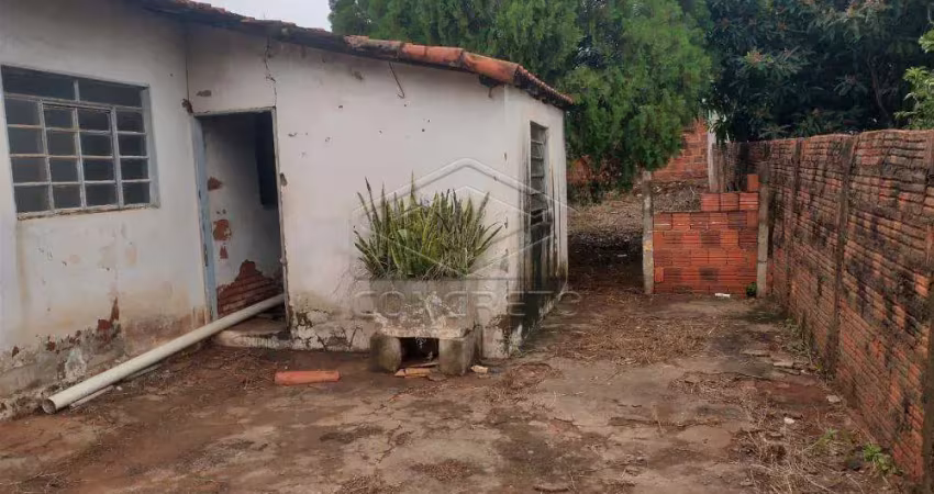 Terreno Padrão em Jaú