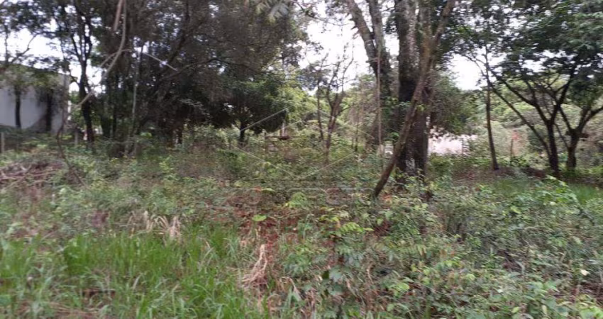 Terreno Padrão em Bauru
