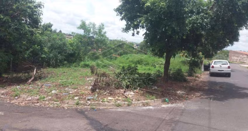Terreno Padrão em Bauru