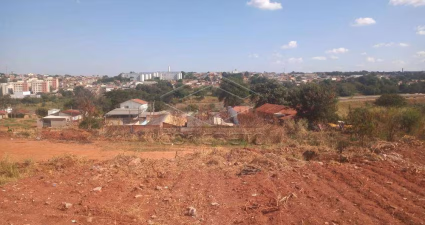 Terreno Padrão em Bauru