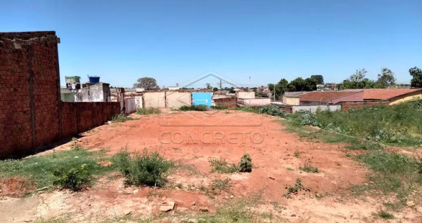 Terreno Padrão em Bauru