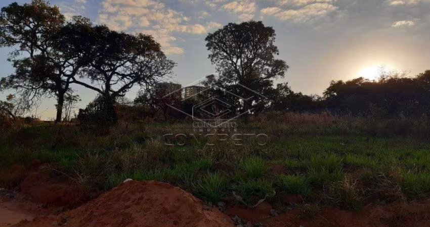 Terreno Padrão em Bauru