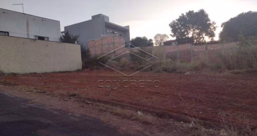 Terreno Padrão em Bauru