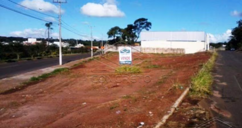 Terreno Padrão em Bauru