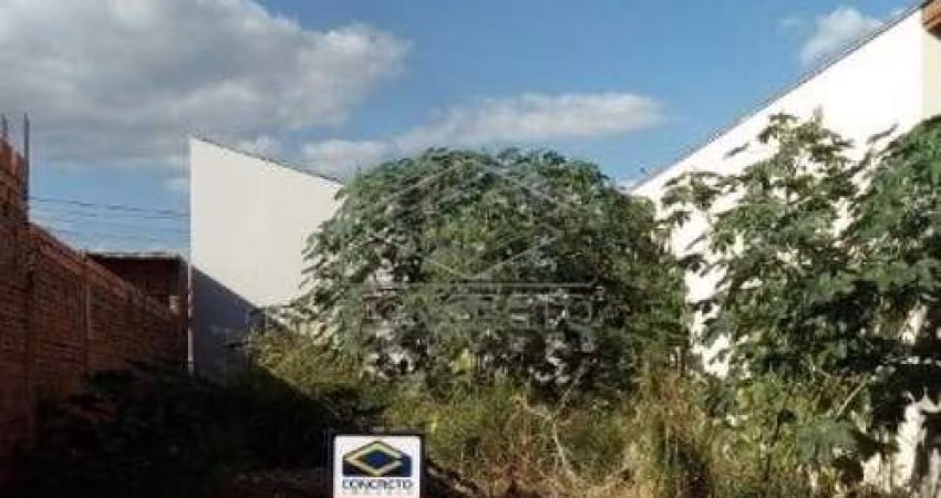 Terreno Padrão em Jaú