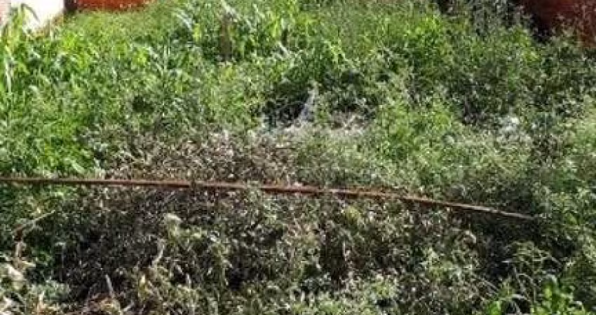 Terreno Padrão em Jaú