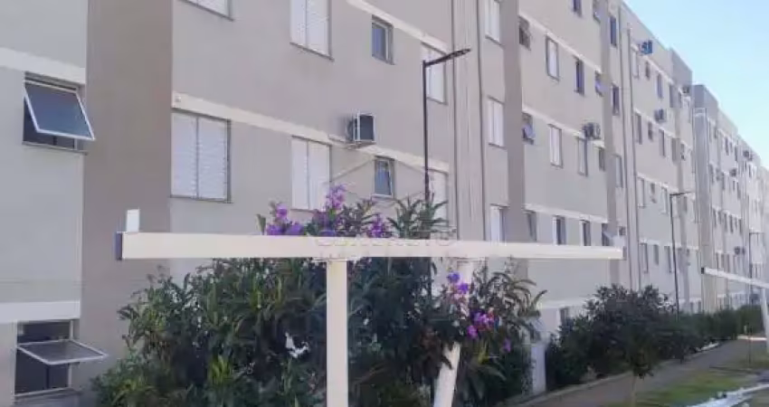 Apartamento com 2 quartos para alugar no Novo Jardim Pagani, Bauru 