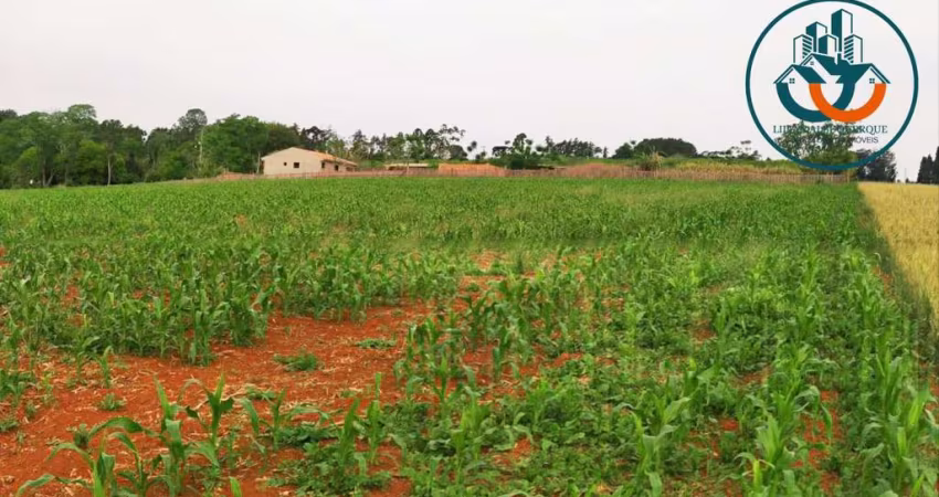 Terreno para Venda em Ponta Grossa, Chapada