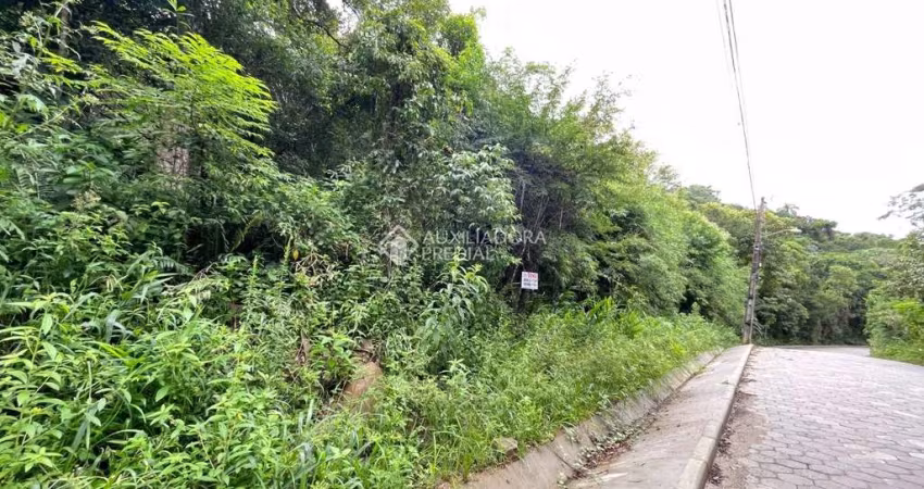 Terreno à venda na Estrada Rozália Paulina Ferreira, Pântano do Sul, Florianópolis