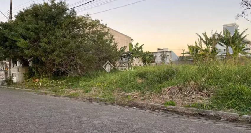 Terreno à venda na Rua Maria Geraldina Ramos, Carianos, Florianópolis